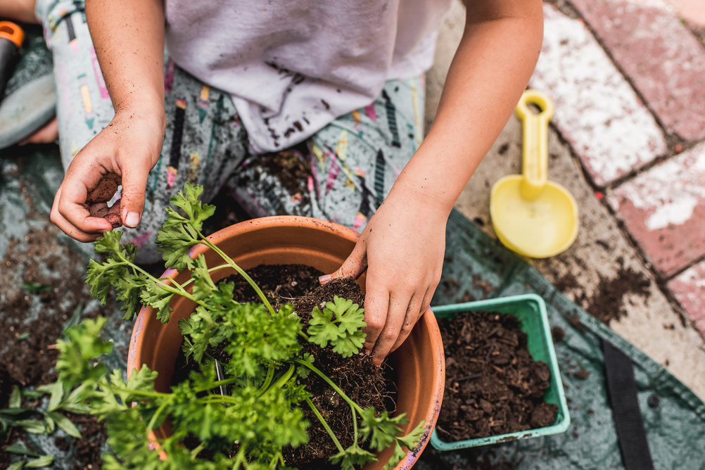 Child planting and gardening as part of hands-on nature exploration
