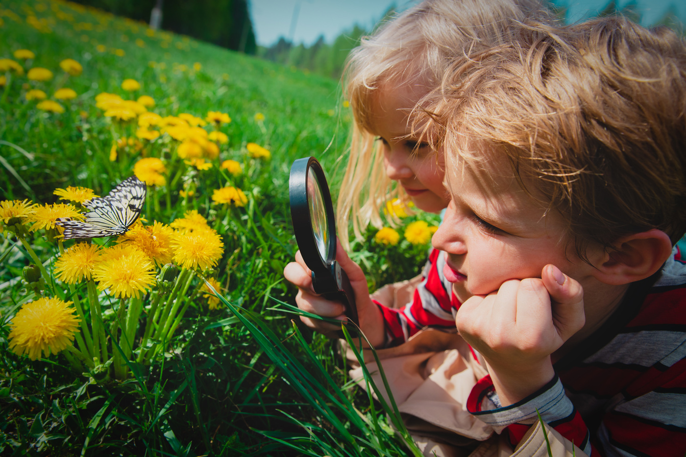Two children exploring nature with a magnifying glass, examining flowers and insects