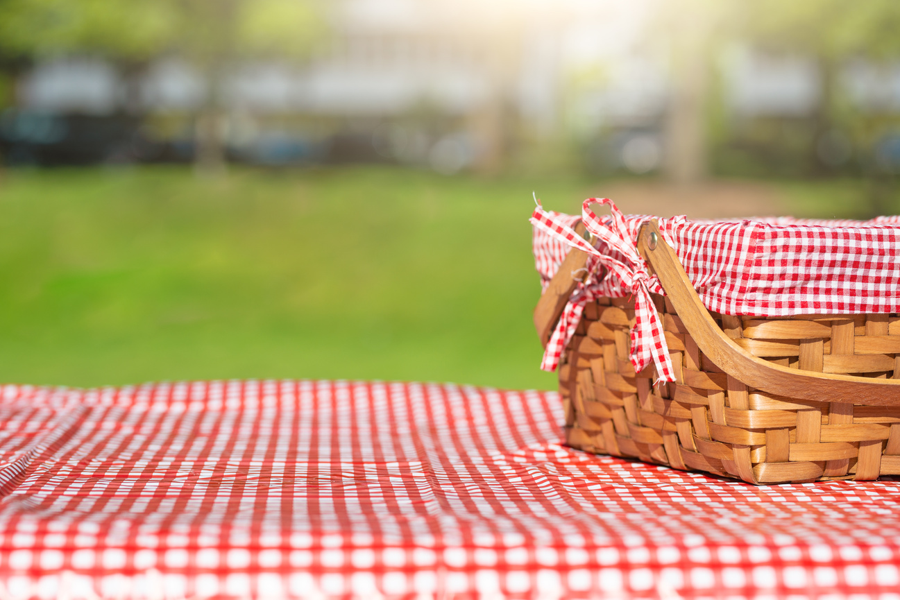 A picnic basket on a checkered blanket outdoors for picnic-style camp lunch