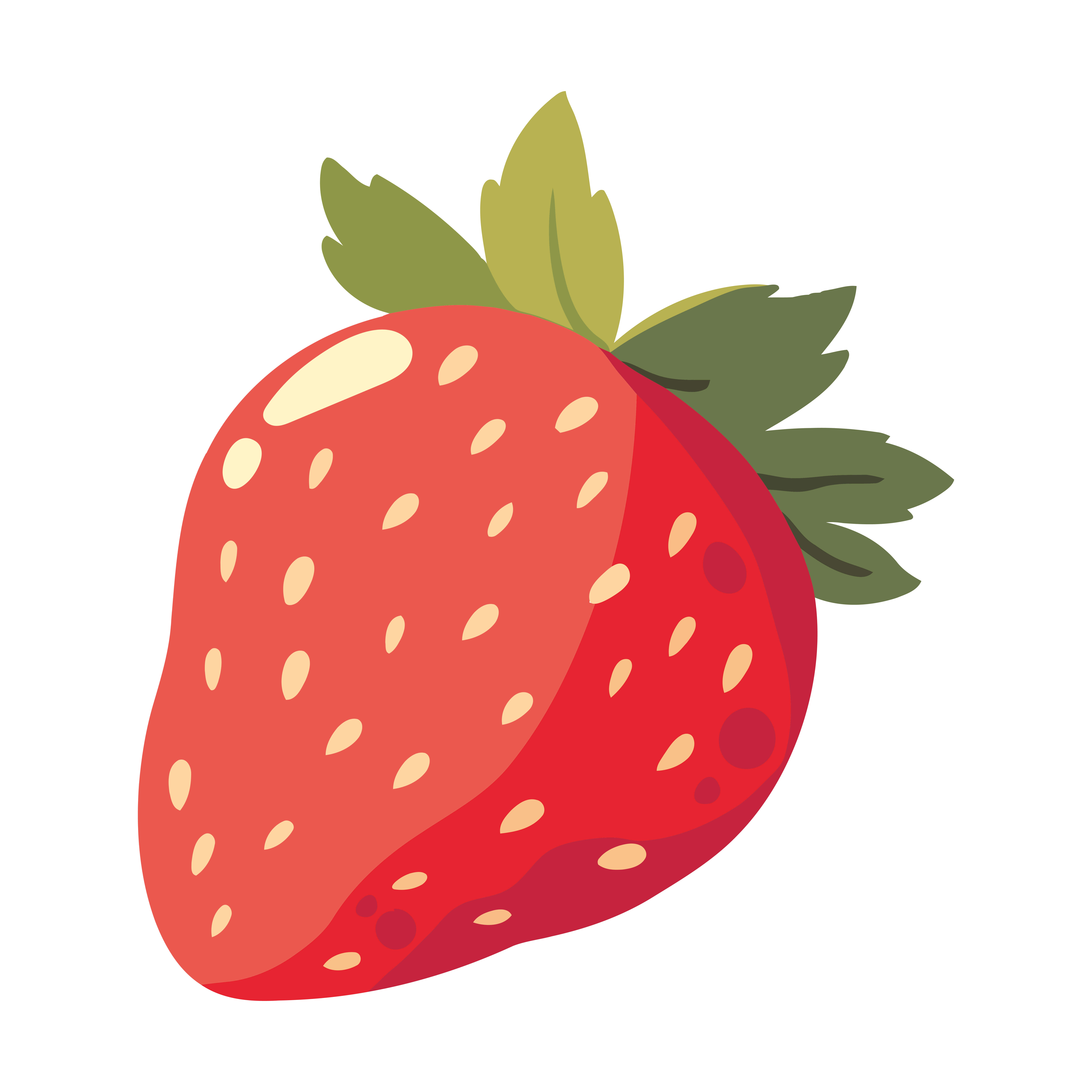 Strawberries